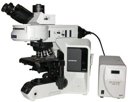 BX53 Upright Microscope